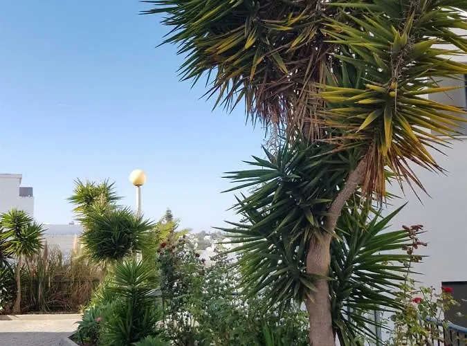 Casa Da Ana * 卡武埃鲁